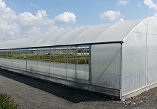 Bonningale Nursery Greenhouse by Keder Greenhouses
