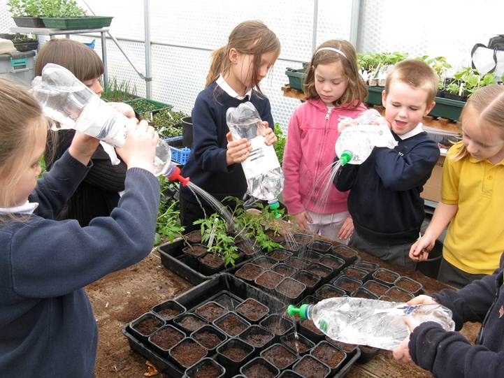 Hands on learning on Derbyshire greenhouse by Keder Greenhouse
