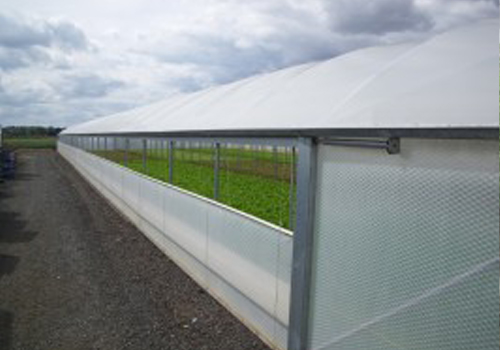 A long lasting professional greenhouse with Keder Greenhouse in Worcestershire